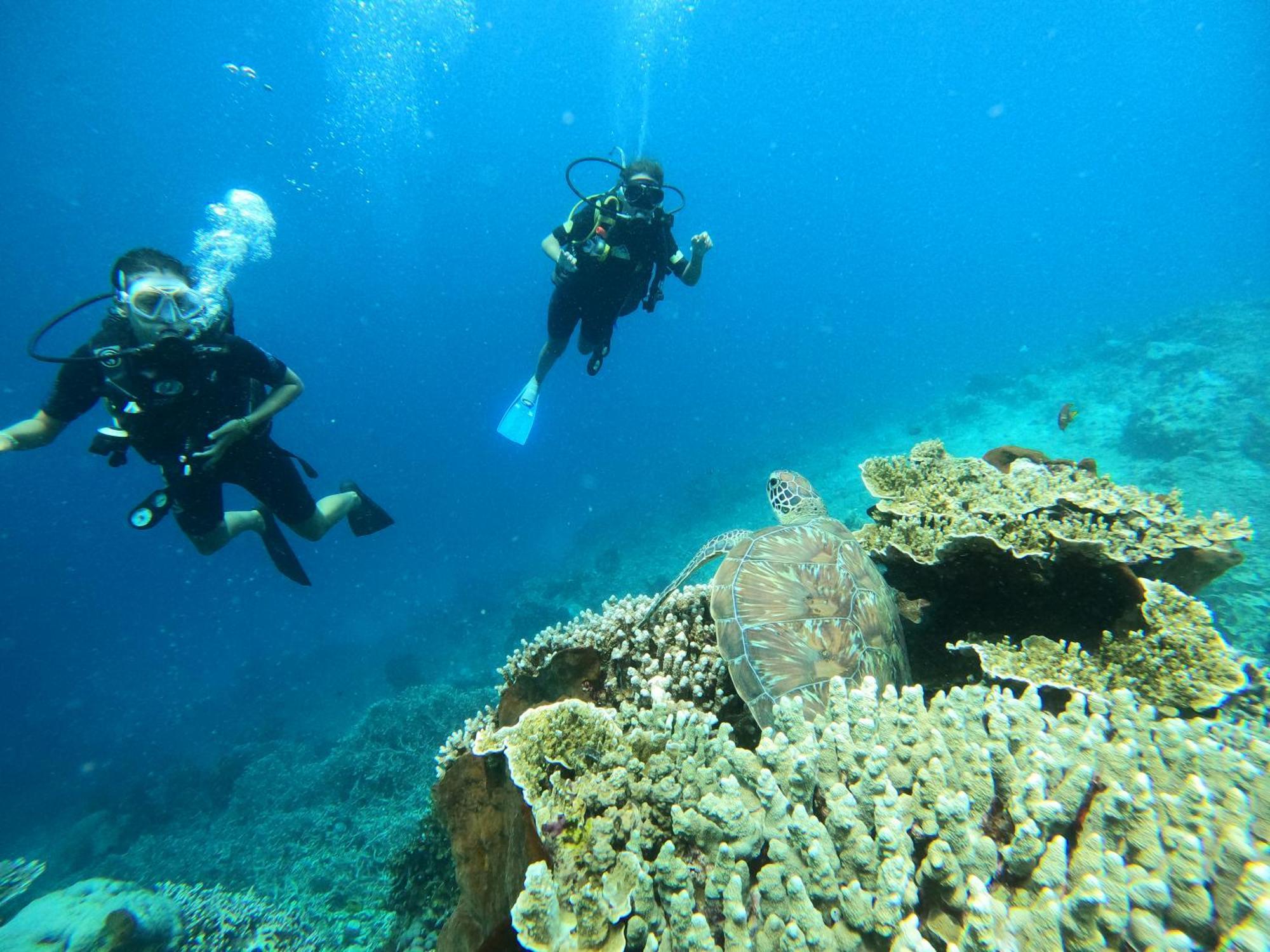 4 Sisters Divers Бунакен Экстерьер фото