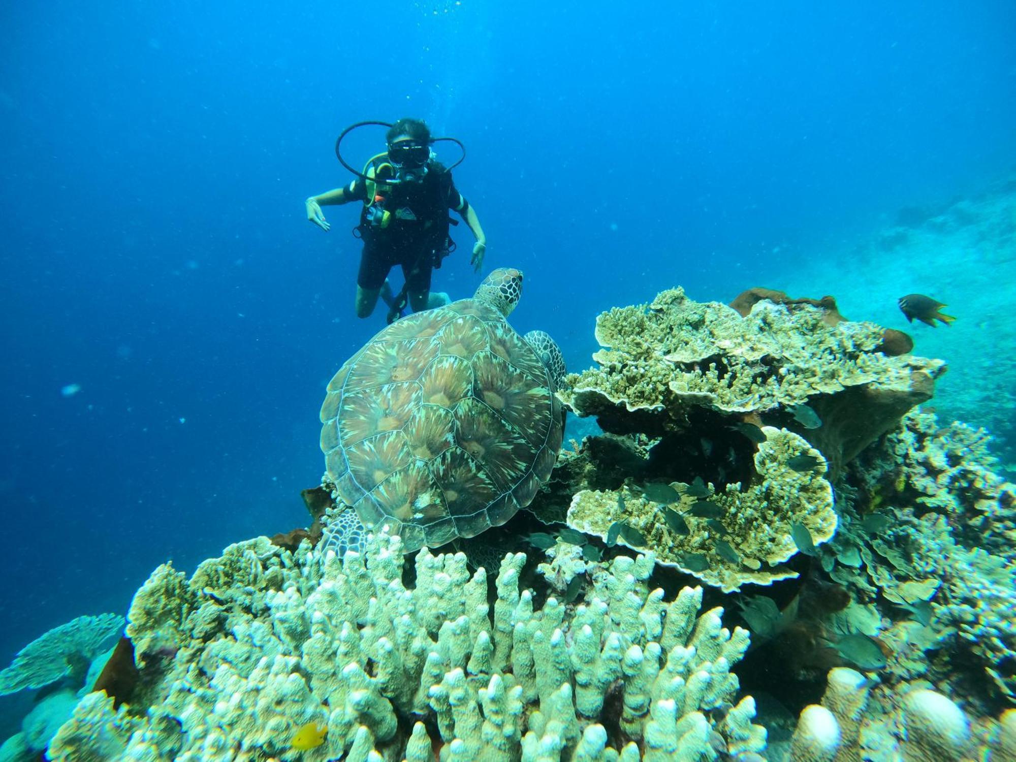 4 Sisters Divers Бунакен Экстерьер фото
