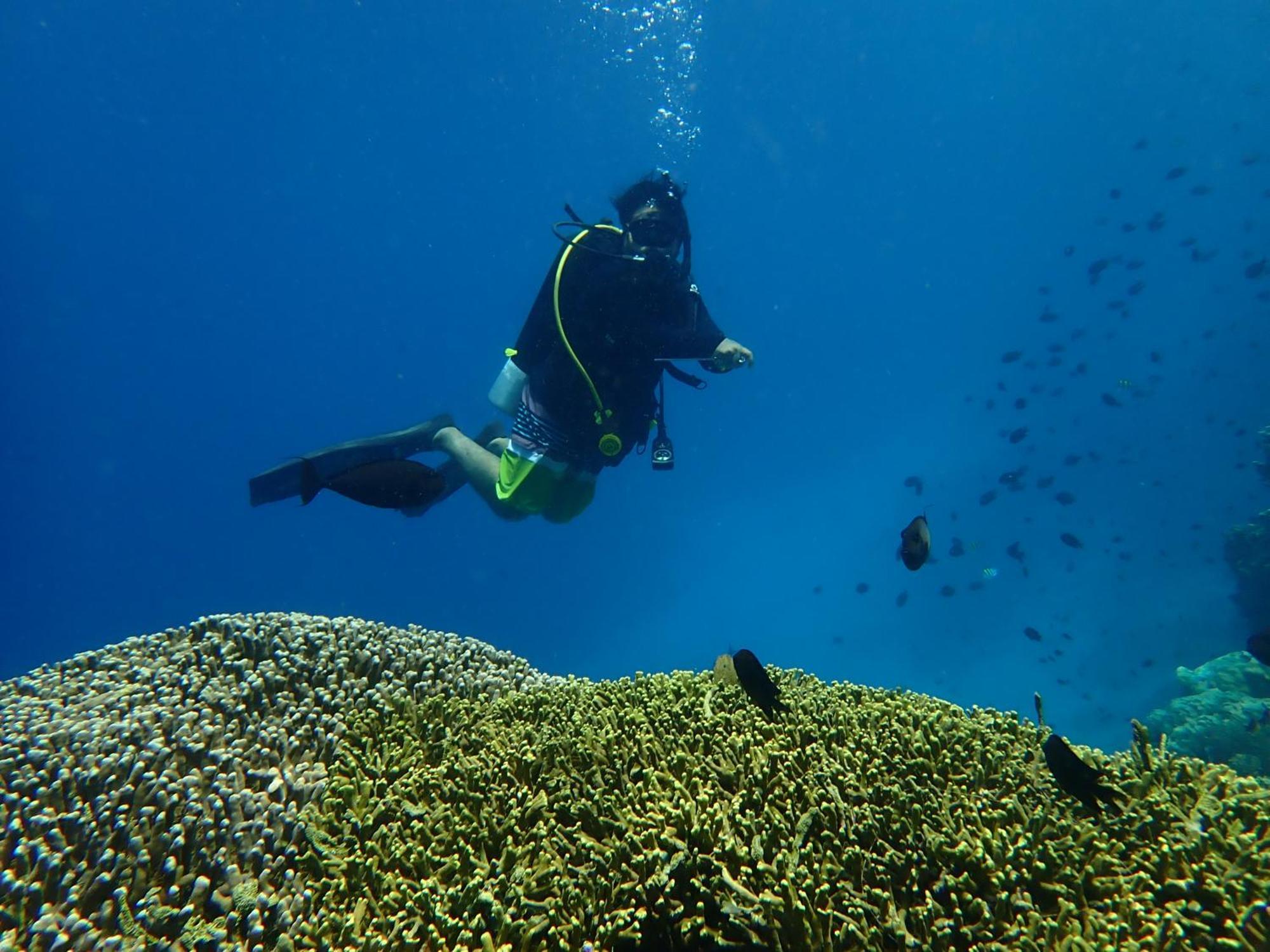 4 Sisters Divers Бунакен Экстерьер фото